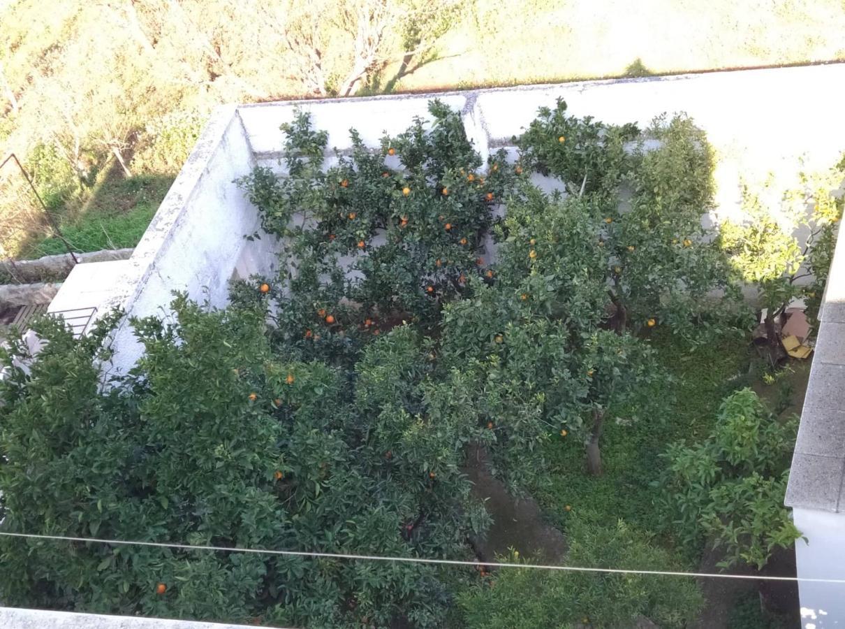 Villa Gardenia Ostuni Buitenkant foto