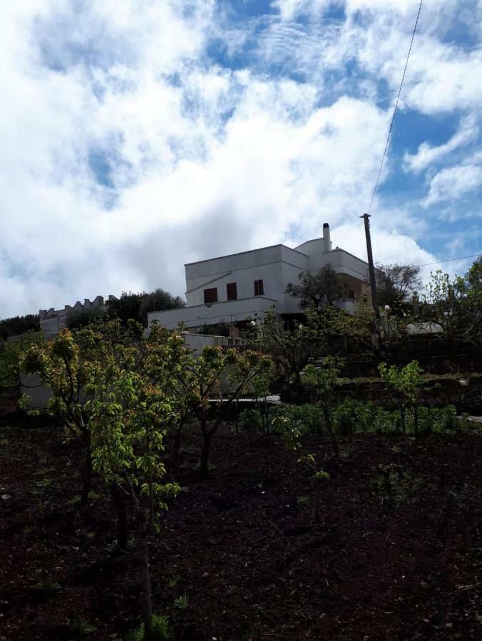 Villa Gardenia Ostuni Buitenkant foto